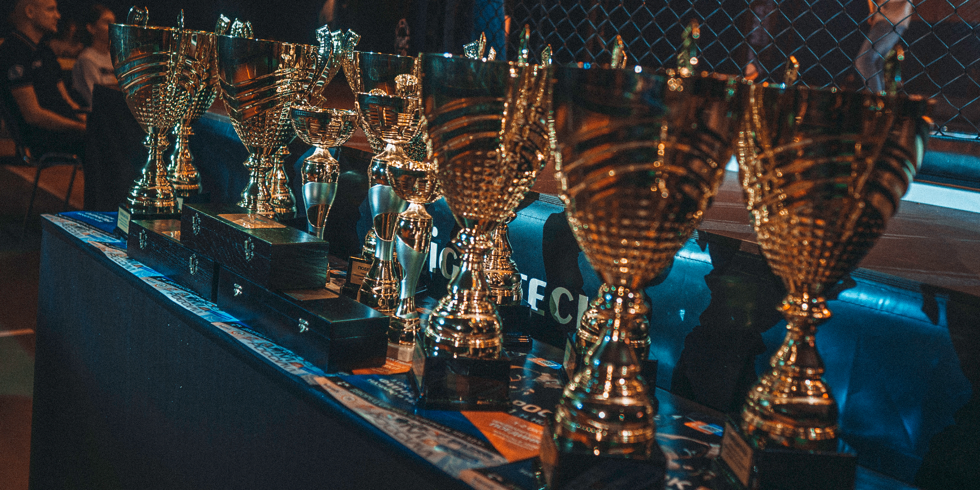 Смотр будущих звёзд: молодые бойцы ярко проявили себя на Кубке России