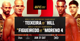 Обзор и интересные факты турнира UFC 283